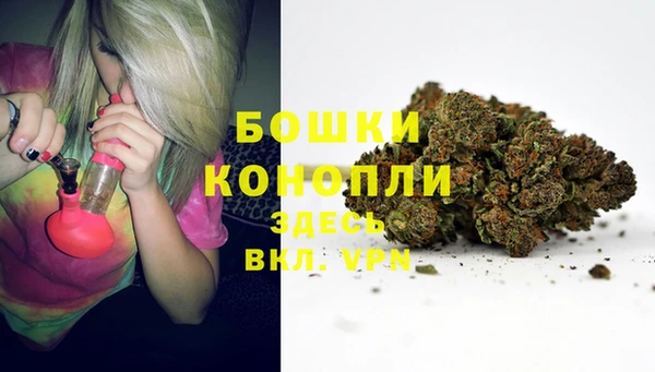 ПСИЛОЦИБИНОВЫЕ ГРИБЫ Татарск